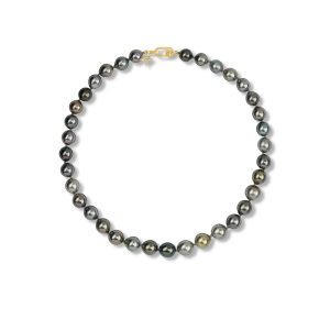 14K Yellow Gold 10x12mm Off Round Multi Color Tahitian Pearl Strand Necklace
