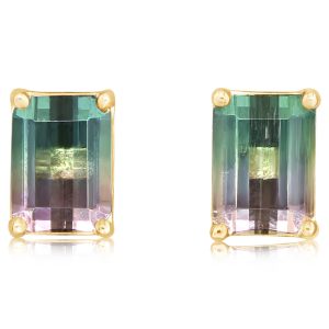 14K Yellow Gold Bi-Color Tourmaline Earrings
